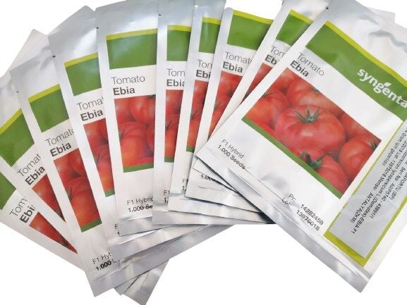 Ebia F1 Oturak Hibrit İri Domates Tohumu (1000 Adet) Syngenta