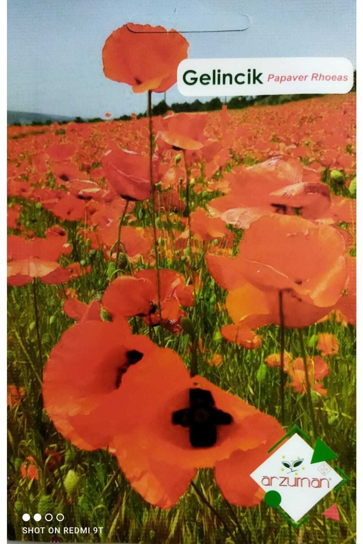 Arzuman Gelincik Çiçeği Tohumu (50 adet)