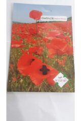 Gelincik Çiçeği Tohumu (50 adet)