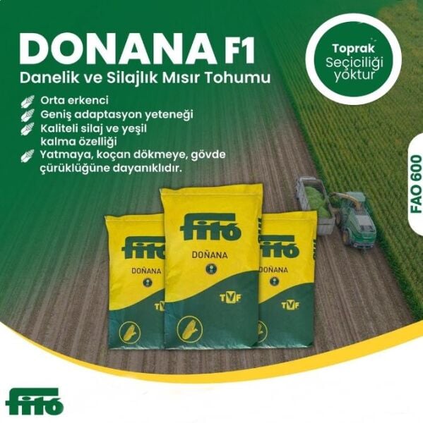 DONANA SİLAJLIK MISIR TOHUMU (50000 AD)
