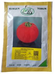 Ancon Domates Tohumu (10 gr) İri Domates-Bursa Tohum