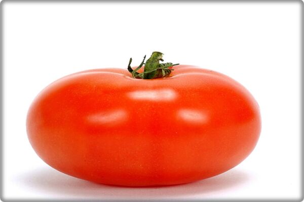 Ancon Domates Tohumu (10 gr) İri Domates-Bursa Tohum