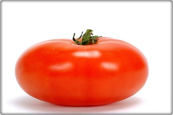 Ancon Domates Tohumu (10 gr) İri Domates-Bursa Tohum