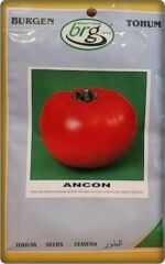 Ancon Domates Tohumu (10 gr) İri Domates-Bursa Tohum