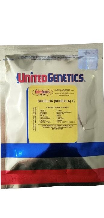 SÜHEYLA Hibrit Kavun Tohumu (1000) Adet Souelha F1