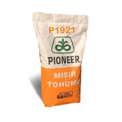 Pioneer P1921 Mısır Tohumu 50.000 çk (Standart)