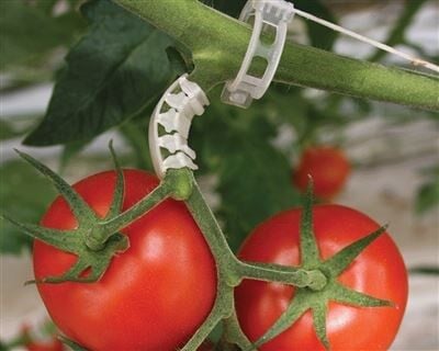 Kahverengi Salkım Koruma Klipsi Tırtıl Destek 250 Adet 30060090015, one size