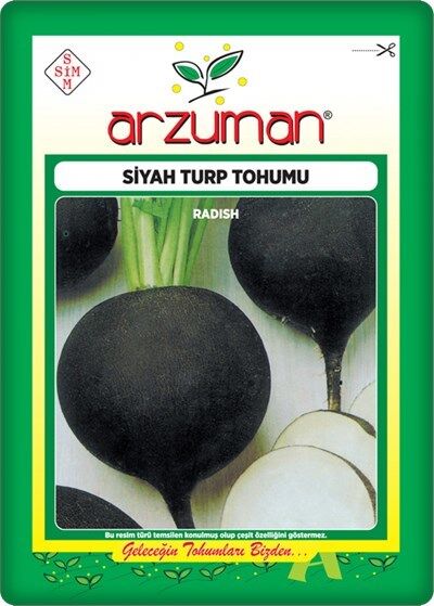 Siyah Turp Tohumu (10 gr)