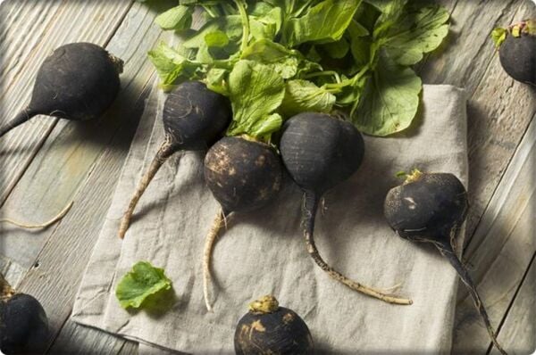 Siyah Turp Tohumu (10 gr)