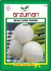 Beyaz Turp Tohumu (10 Gr) Arzuman