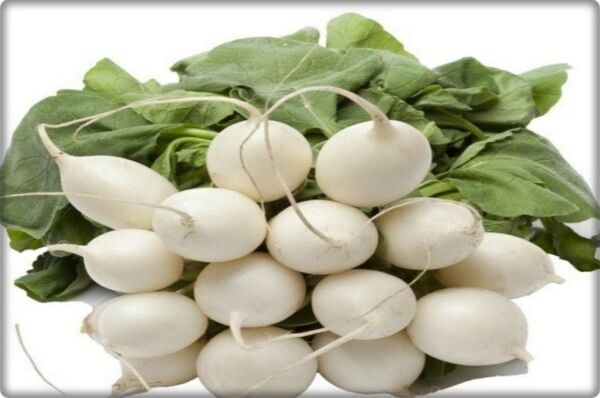 Beyaz Turp Tohumu (10 Gr) Arzuman