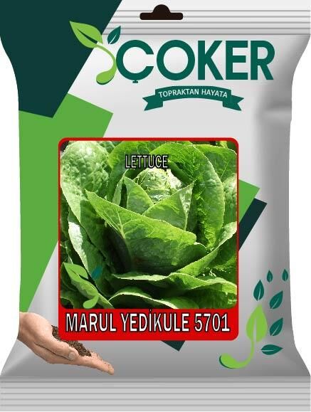 Çoker Marul Yedikule 5701 10 gr