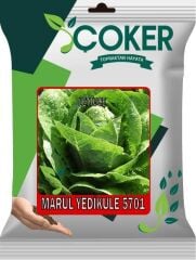 Çoker Marul Yedikule 5701 10 gr