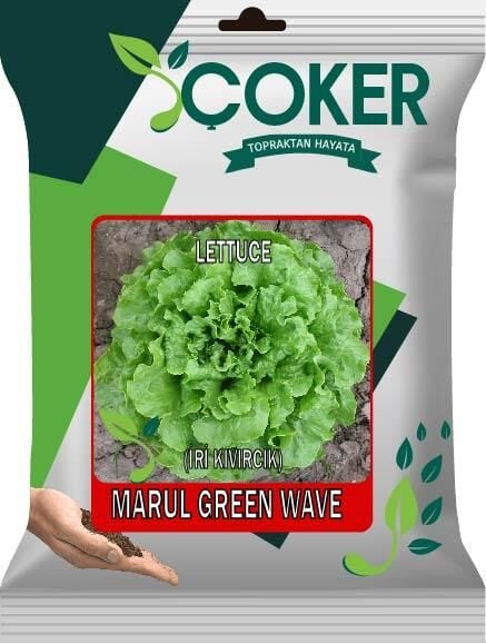 Çoker Marul (İri Kıvırcık) 10 gr
