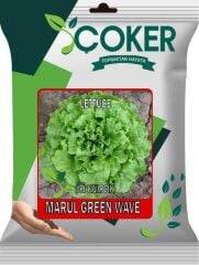 Çoker Marul (İri Kıvırcık) 10 gr