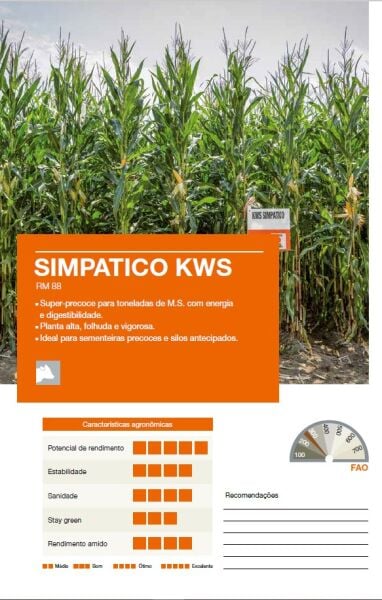 70 Günlük Silaj Mısır Tohumu-Simpatico-KWS-En Erkenci Mısır