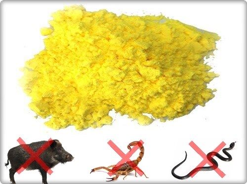 Köseoğlu  Toz Kukürt  10 Kg Orijinal Paket