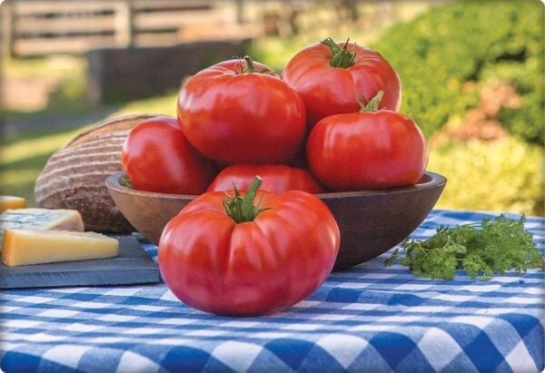 Köy Tipi Domates Tohumu (300 adet) Ege Pembesi