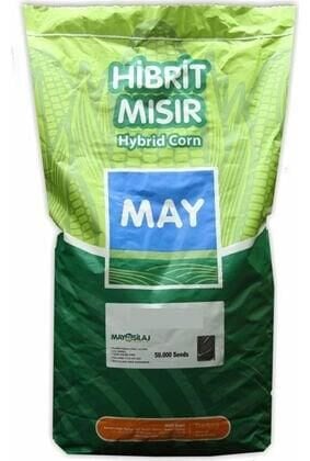 May MG14G44 Danelik Mısır Tohumu