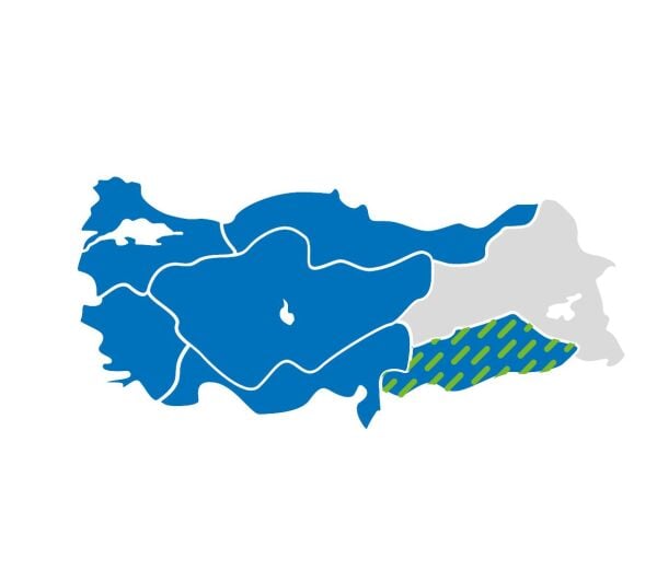 May MG14G44 Danelik Mısır Tohumu