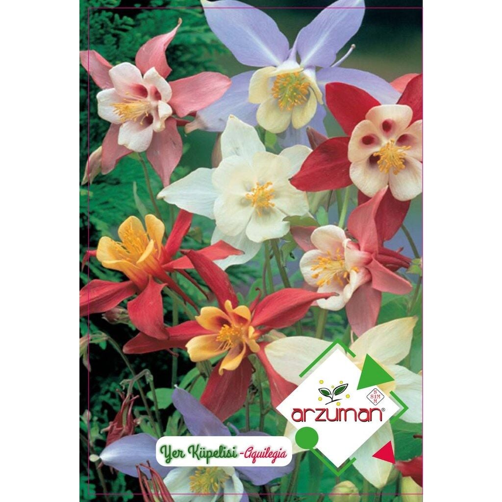 Arzuman Yer Küpelisi Çiçek Tohumu (50 Adet)-Haseki Küpesi