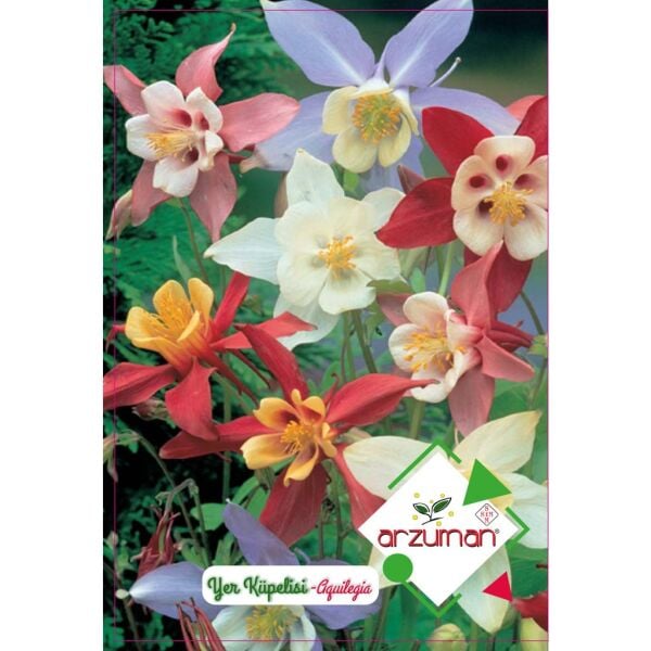 Arzuman Yer Küpelisi Çiçek Tohumu (50 Adet)-Haseki Küpesi