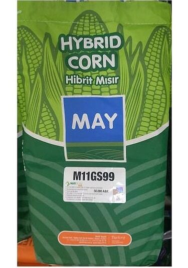 May M11GS99 Süt Mısır Tohumu 50.000 Tohum