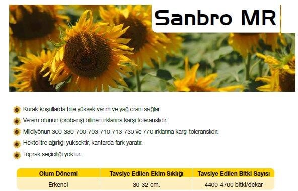 Sanbro MR Ayçiçek Tohumu Syngenta (150.000 çk)