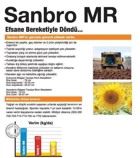Sanbro MR Ayçiçek Tohumu Syngenta (150.000 çk)
