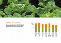 KWS PREZİOSA ŞEKER PANCARI TOHUMU (1 Ünite)