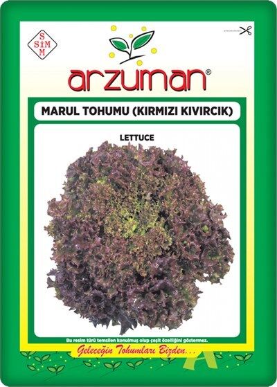 Kırmızı Marul Tohumu (Kırmızı Kıvırcık) 5 gr