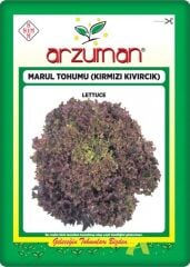Kırmızı Marul Tohumu (Kırmızı Kıvırcık) 5 gr