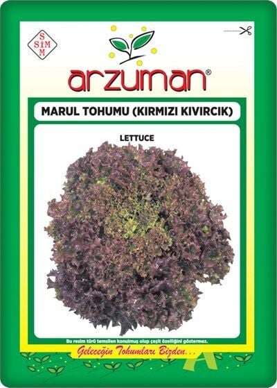 Kırmızı Marul Tohumu (Kırmızı Kıvırcık) 5 gr