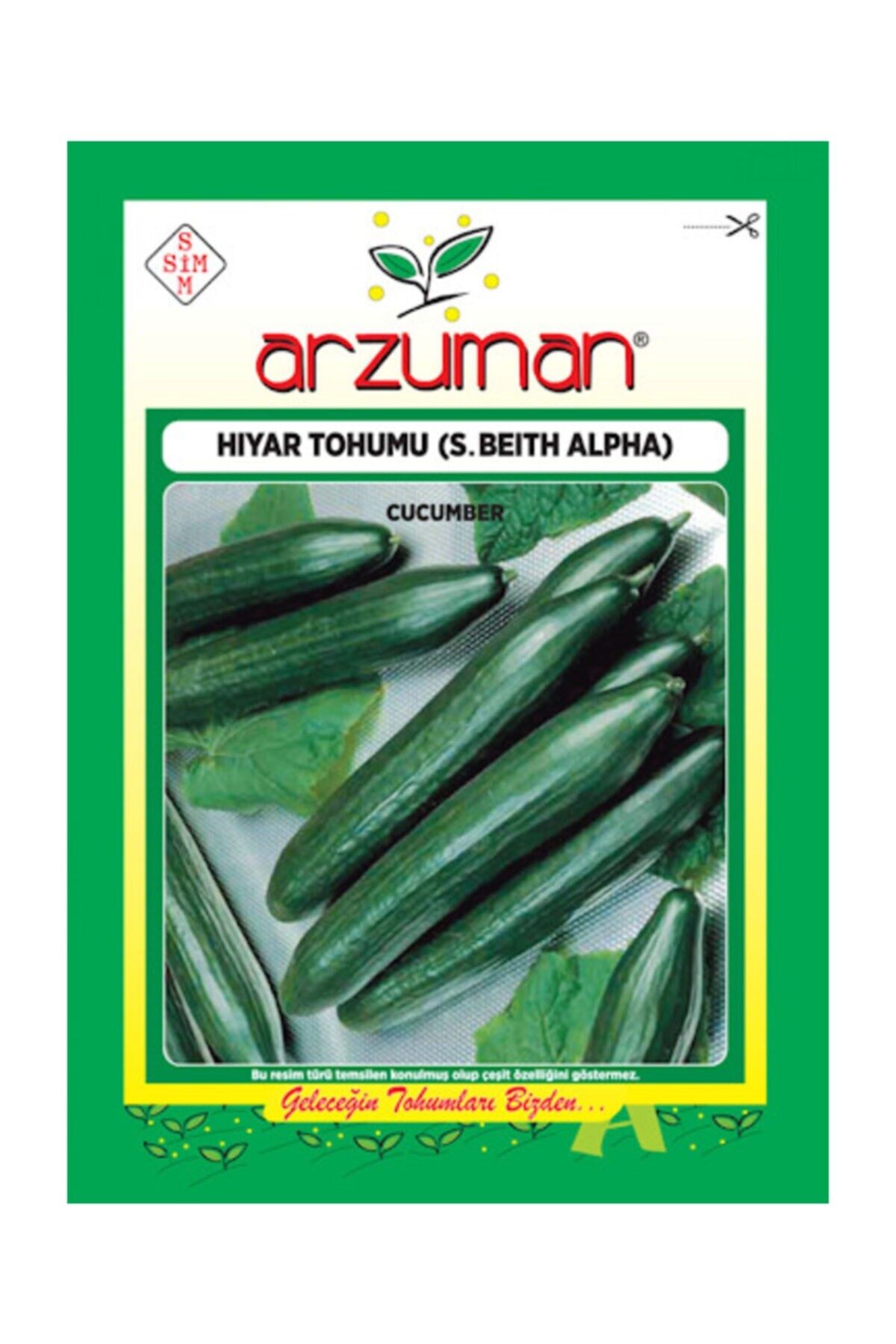 Arzuman Salatalık Tohumu Süper Beith Alpha 10 gr