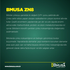 BMusa Zn8 Çinko Sülfat Gübresi 1 litre