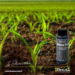 BMusa Zn8 Çinko Sülfat Gübresi 1 litre