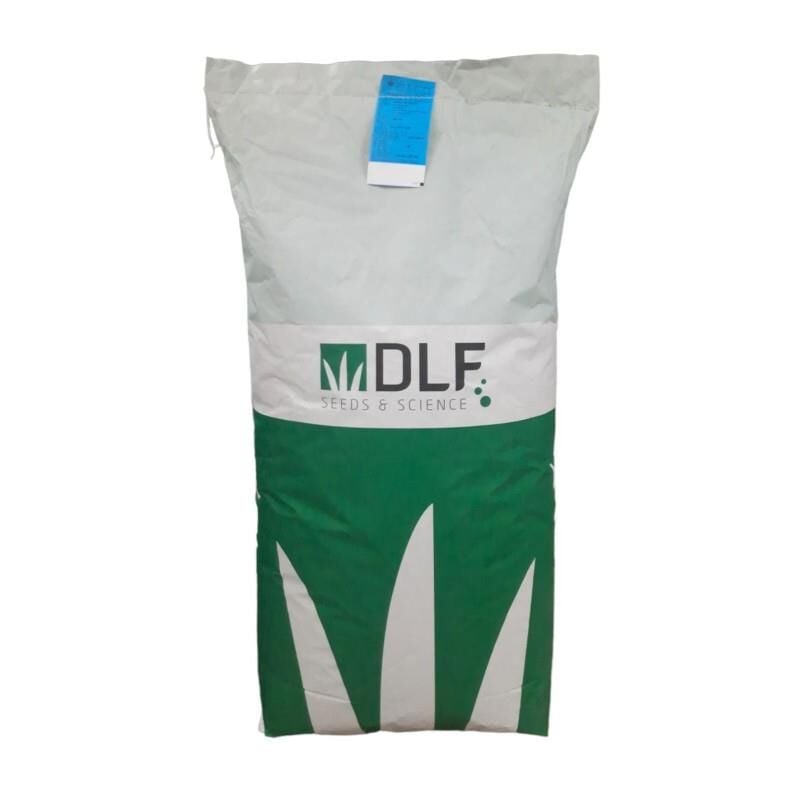 DLF Lolium Perenne İthal Çim Tohumu 25 KG