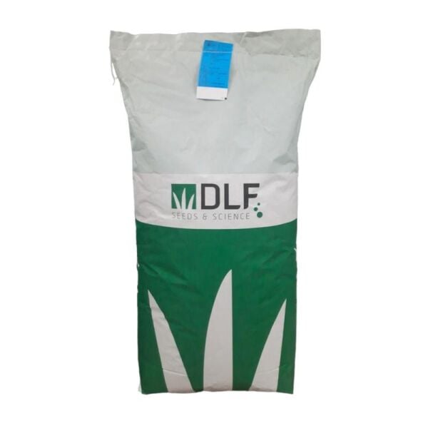 DLF Lolium Perenne İthal Çim Tohumu 25 KG