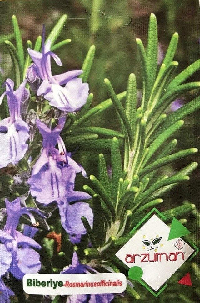 Arzuman Biberiye Tohumu (30 Adet)