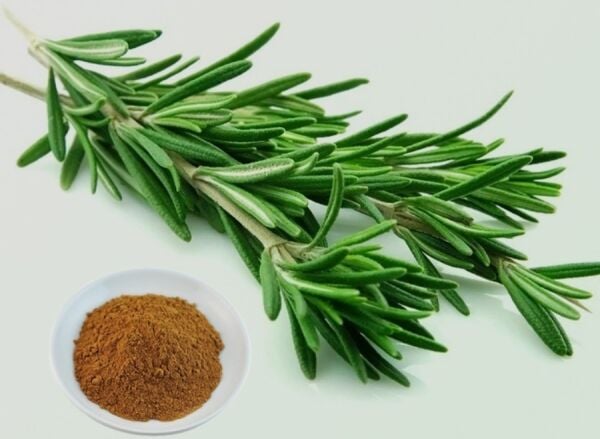 Arzuman Biberiye Tohumu (30 Adet)