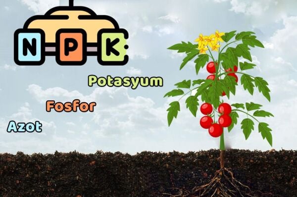 Fosforlu NPK Gübresi 9-30-9+(2MgO)+Me (5 kg) AGROBİGEN