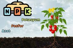 Potasyumlu NPK Gübresi 9-9-25+(2 MgO)+Me (5 Kg) AGROBİGEN