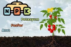 Dengeli Gübre NPK 17-17-17+ME (1 kg) AGROBİGEN