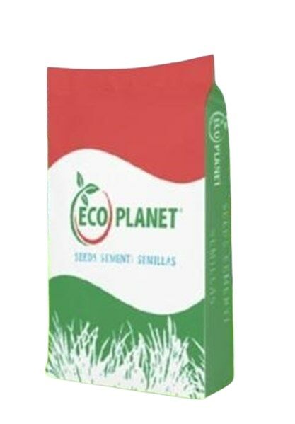 Ecoplanet 4S SHINE Gölge Alan Çim Tohumu (1kg)
