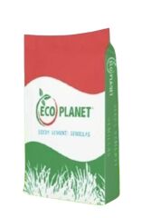 Ecoplanet 4S SHINE Gölge Alan Çim Tohumu (1kg)