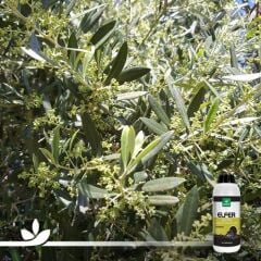 ELFER ZEYTİN | ZEYTİNE ÖZEL SIVI MİKRO BİTKİ BESİN KARIŞIMI 1 LİTRE