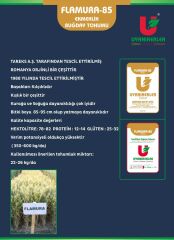 FLAMURA 85 EKMEKLİK BUĞDAY TOHUMU 50 KG