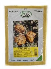 Kırkağaç 637 Kavun Tohumu (10 Gr ) Burgen Tohum