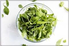 BT Buter Tere Tohumu (10 Gr) Geniş Yapraklı Tere