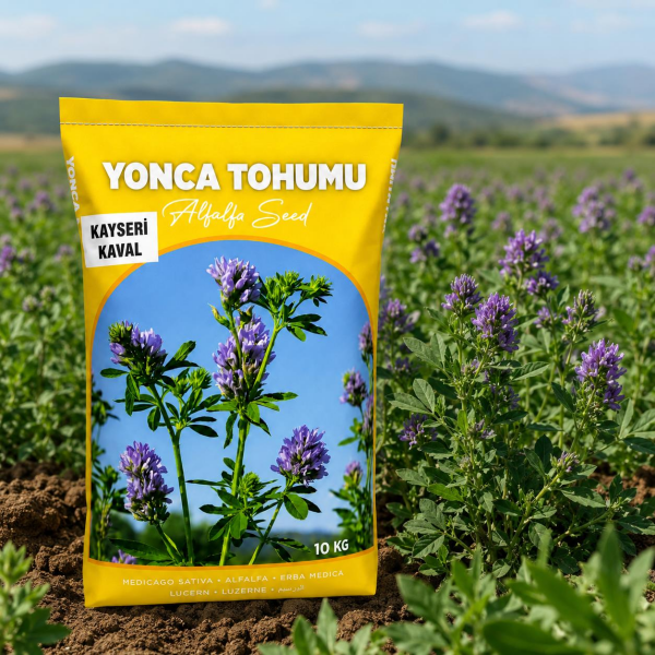 Kayseri Kaval Yonca Tohumu 10 Kg